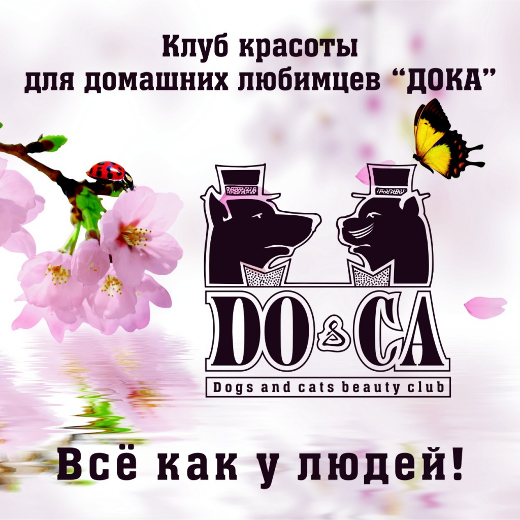 Дока весна_готтово.jpg Дока весна_готтово.jpg